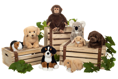 Singe assis 35 cm - peluche - peluche