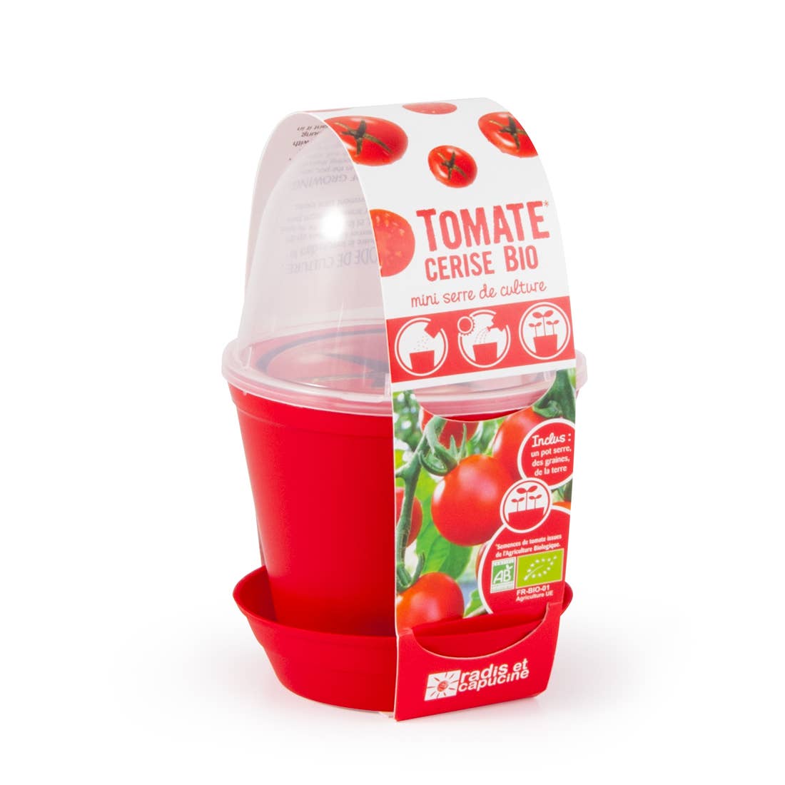 Pot Cloche - Tomate cerise bio - Kit créatif de jardinage Enfant Kit DIY Radis Et Capucine  myplayground