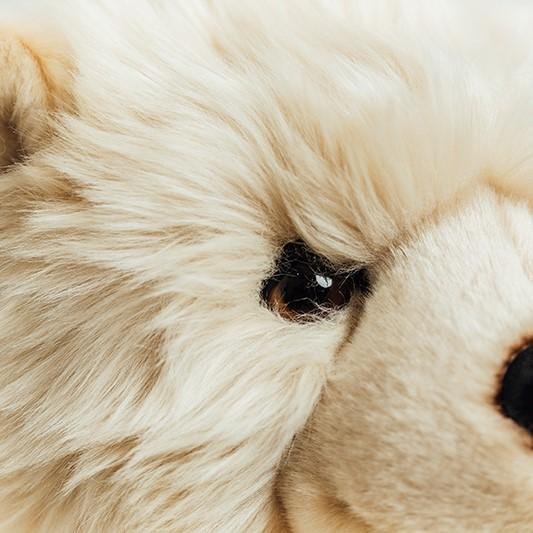 Ma peluche Ours Jules - La Pelucherie  La Pelucherie  myplayground
