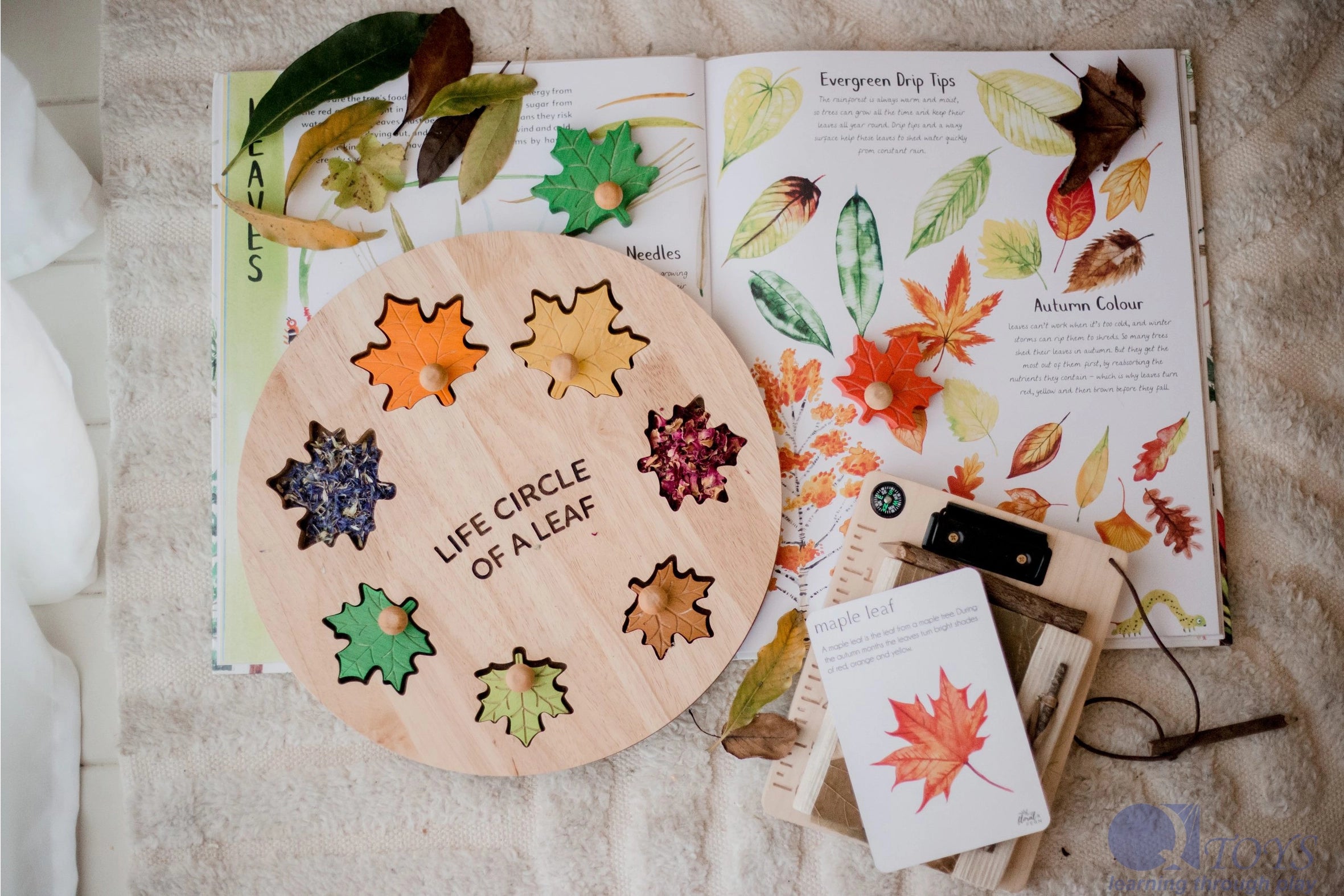 Puzzle Leaf Circle Of Life  QToys USA Puzzle Leaf Circle Of Life myplayground