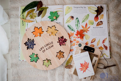 Puzzle Leaf Circle Of Life