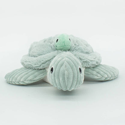MUM&BABY TURTLE MENTHE/LES PTIPOTOS