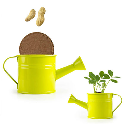 Kit pour apprendre à jardiner cacahuètes - Kit créatif de jardinage Enfant