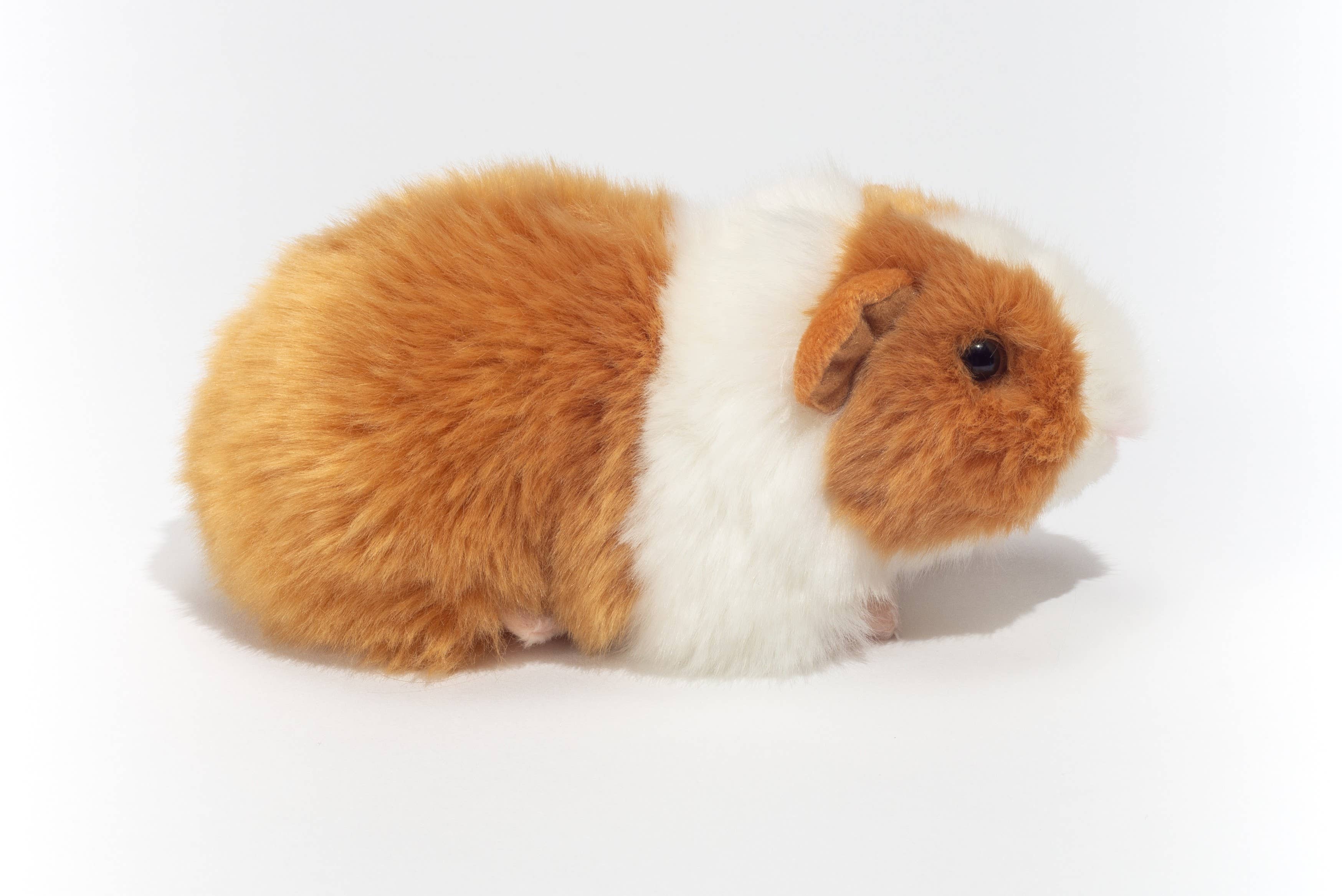 Cochon d'Inde doré/blanc 20 cm - peluche - peluche  Teddy Hermann Cochon d'Inde doré/blanc 20 cm - peluche - peluche myplayground