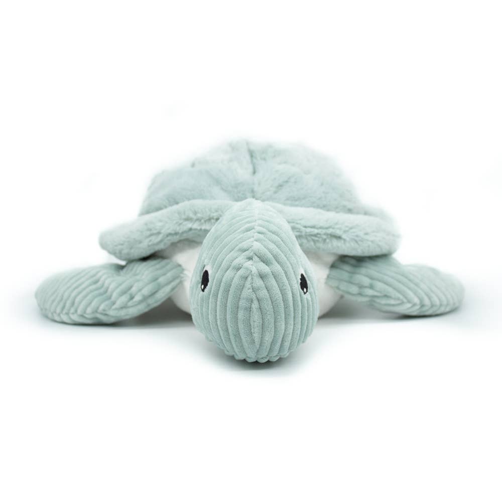 Tortue Géante Menthe / Les Ptipotos - Les Déglingos, France  Les Déglingos, France Tortue Géante Menthe / Les Ptipotos - Les Déglingos, France myplayground