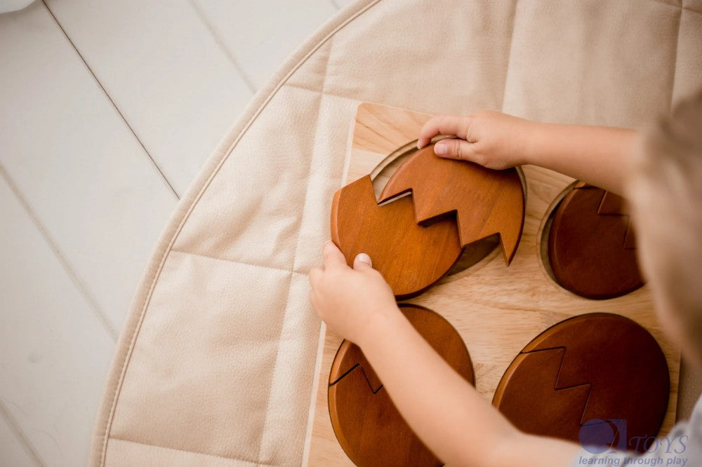 Puzzle d'éclosion de dinosaures  QToys USA Puzzle d'éclosion de dinosaures myplayground