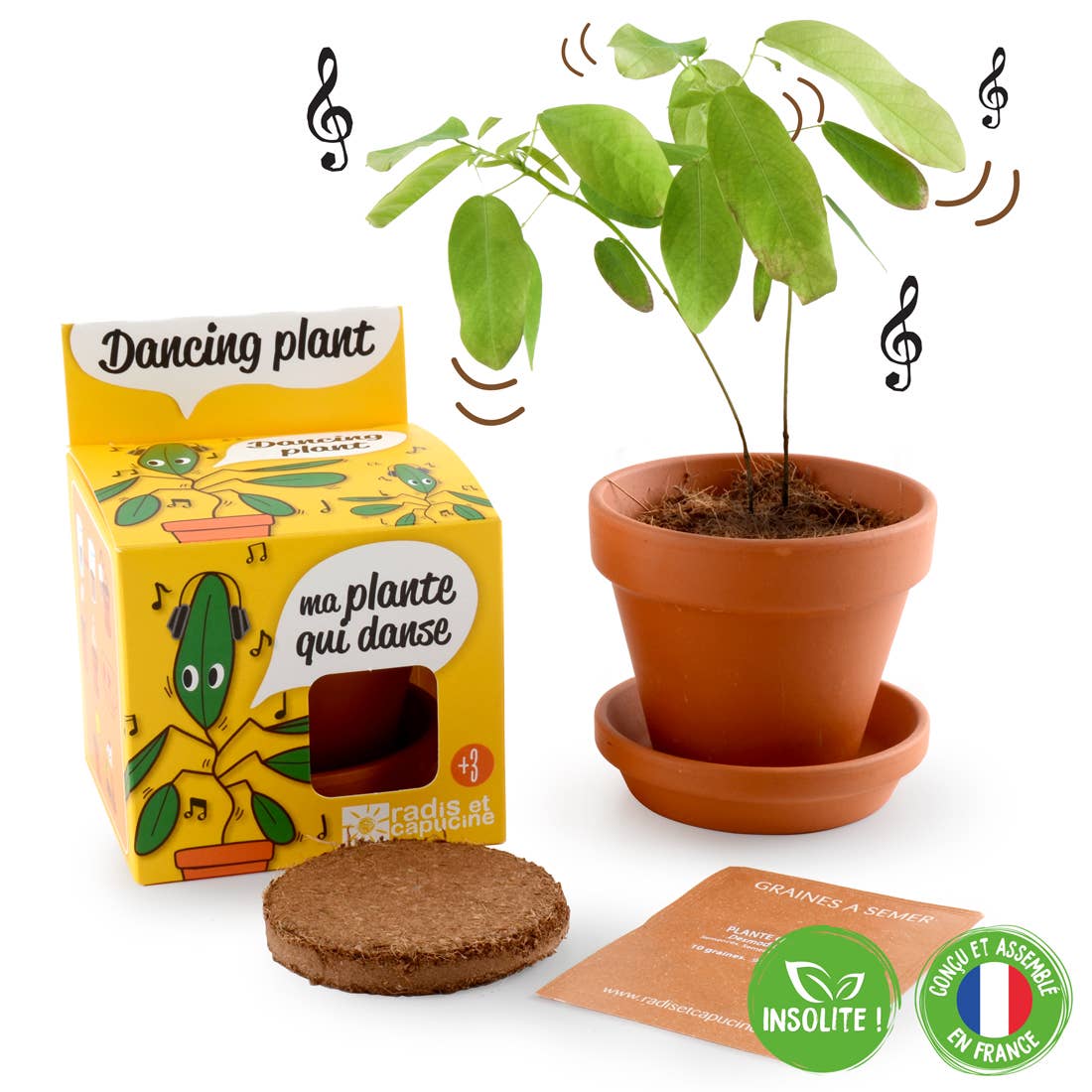 La plante qui danse - Kit créatif de jardinage Enfant  Radis Et Capucine La plante qui danse - Kit créatif de jardinage Enfant myplayground