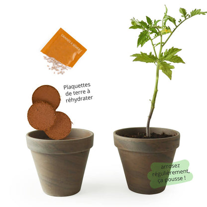 Pot Terre cuite Basalte - Tomate poire jaune bio - Kit créatif de jardinage Enfant