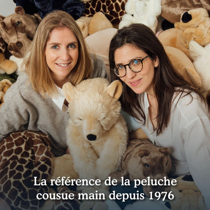 Ma peluche Dinosaure Willy