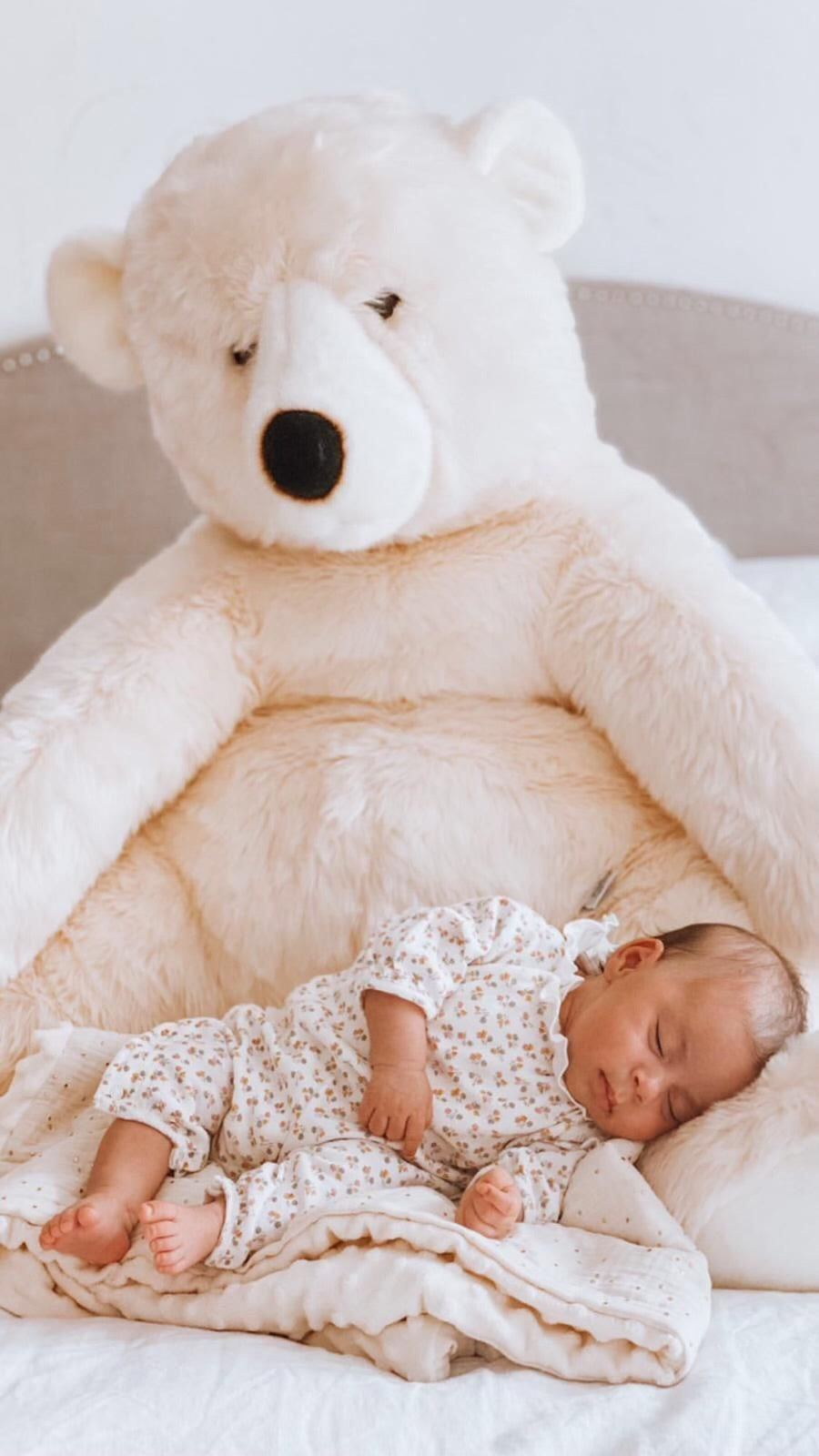 Ma peluche Ours Jules - La Pelucherie  La Pelucherie  myplayground
