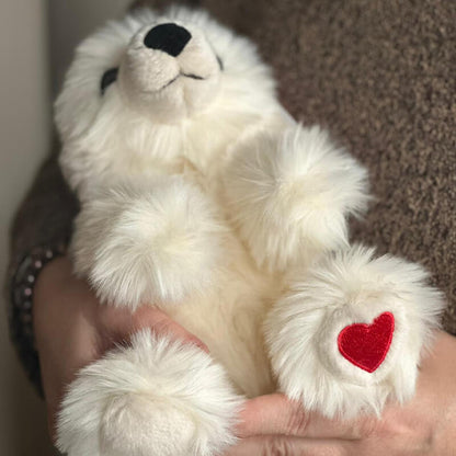 Mon Ours Jules d'amour