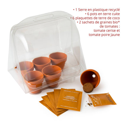 Serre 6 pots - Tomate bio - Kit créatif de jardinage Enfant