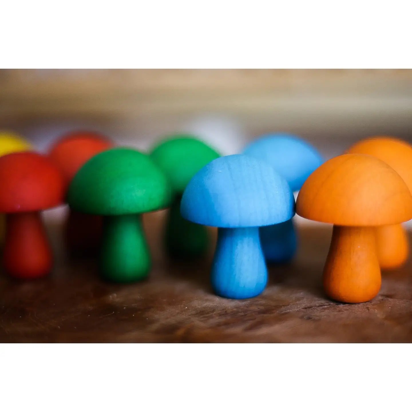 Champignons colorés  QToys USA  myplayground