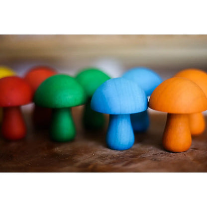 Champignons colorés