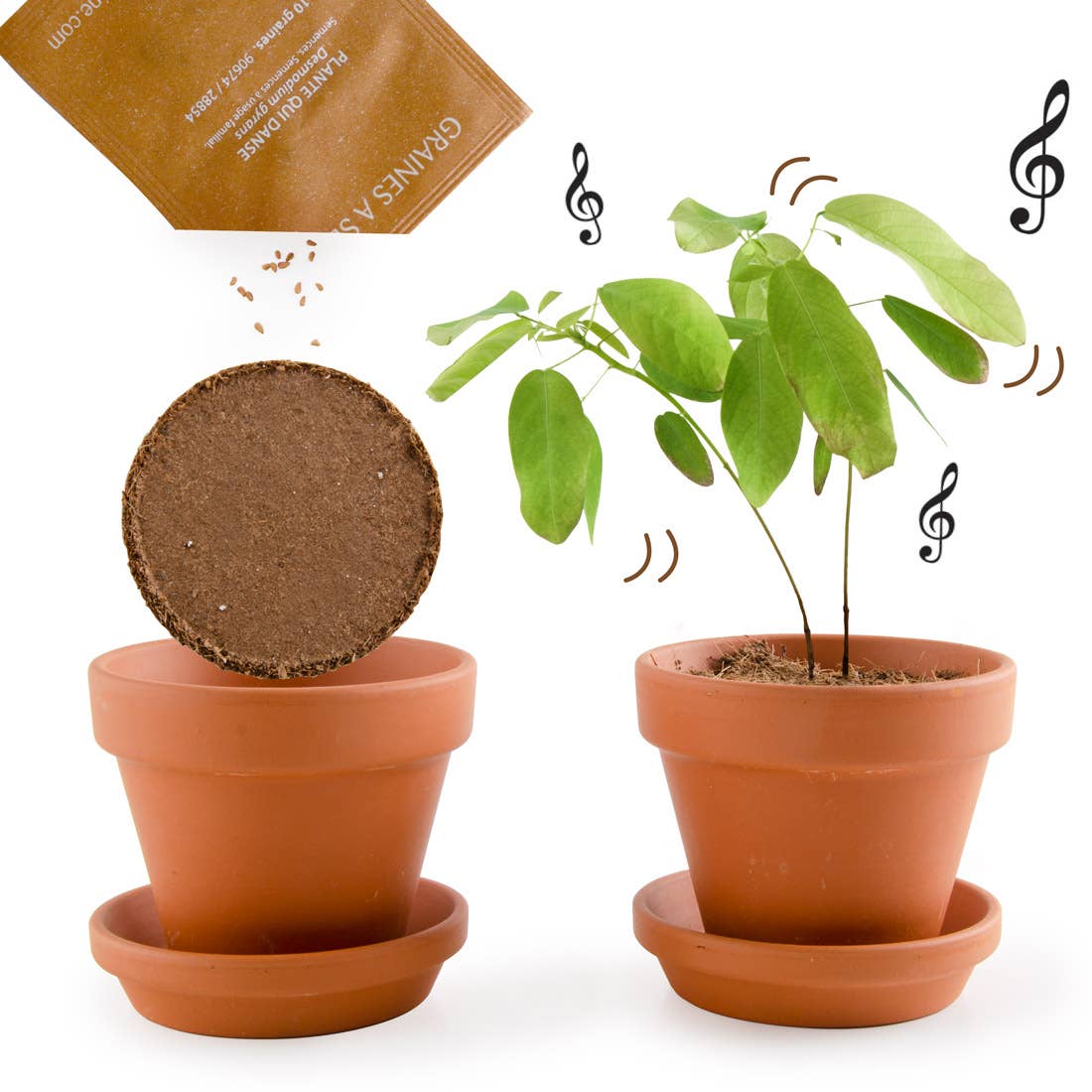 La plante qui danse - Kit créatif de jardinage Enfant  Radis Et Capucine La plante qui danse - Kit créatif de jardinage Enfant myplayground
