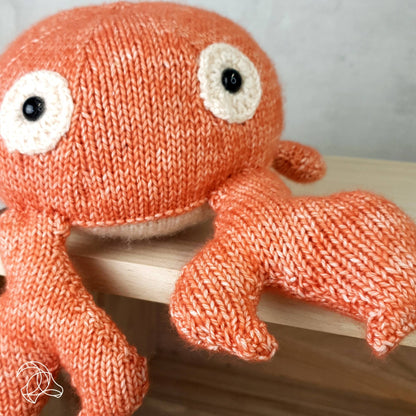 Kit de tricot à faire soi-même - Karel Krab