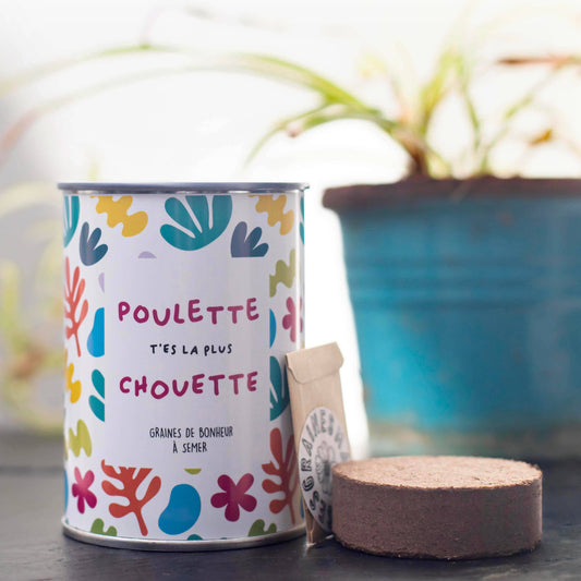 Kit à semer "Poulette t'es la plus chouette"