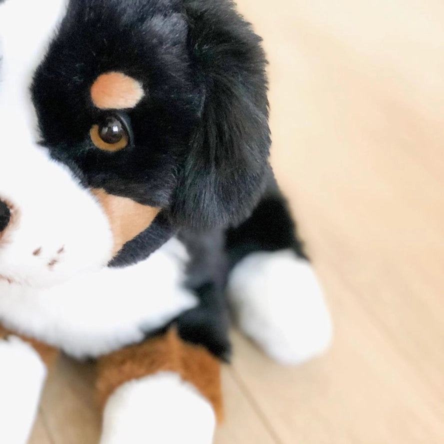Ma peluche Chien Ferdinand - La Pelucherie  La Pelucherie Ma peluche Chien Ferdinand - La Pelucherie myplayground