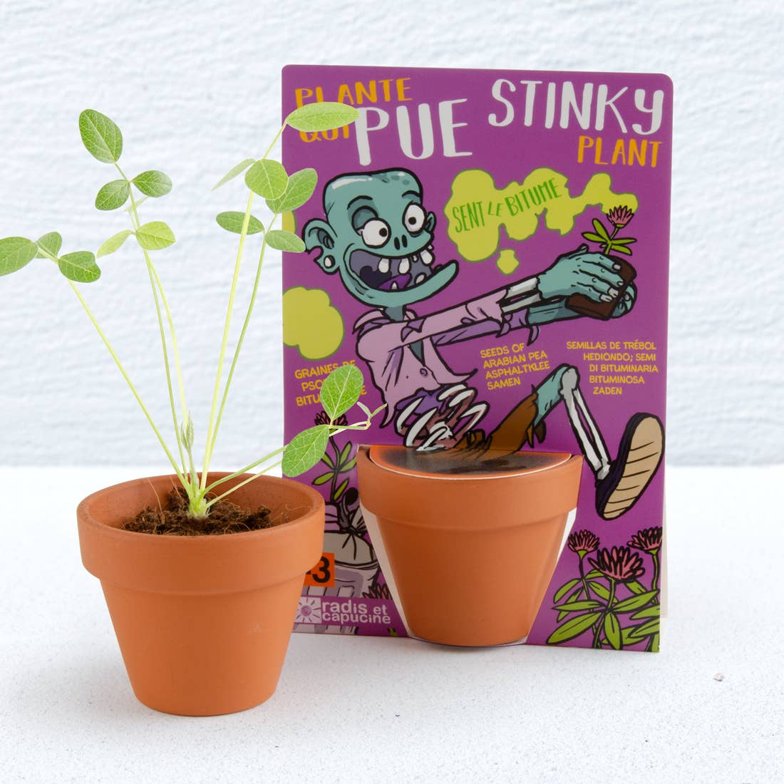 Carte nature Zombie - Plante qui pue - Kit créatif de jardinage Enfant  Radis Et Capucine Carte nature Zombie - Plante qui pue - Kit créatif de jardinage Enfant myplayground