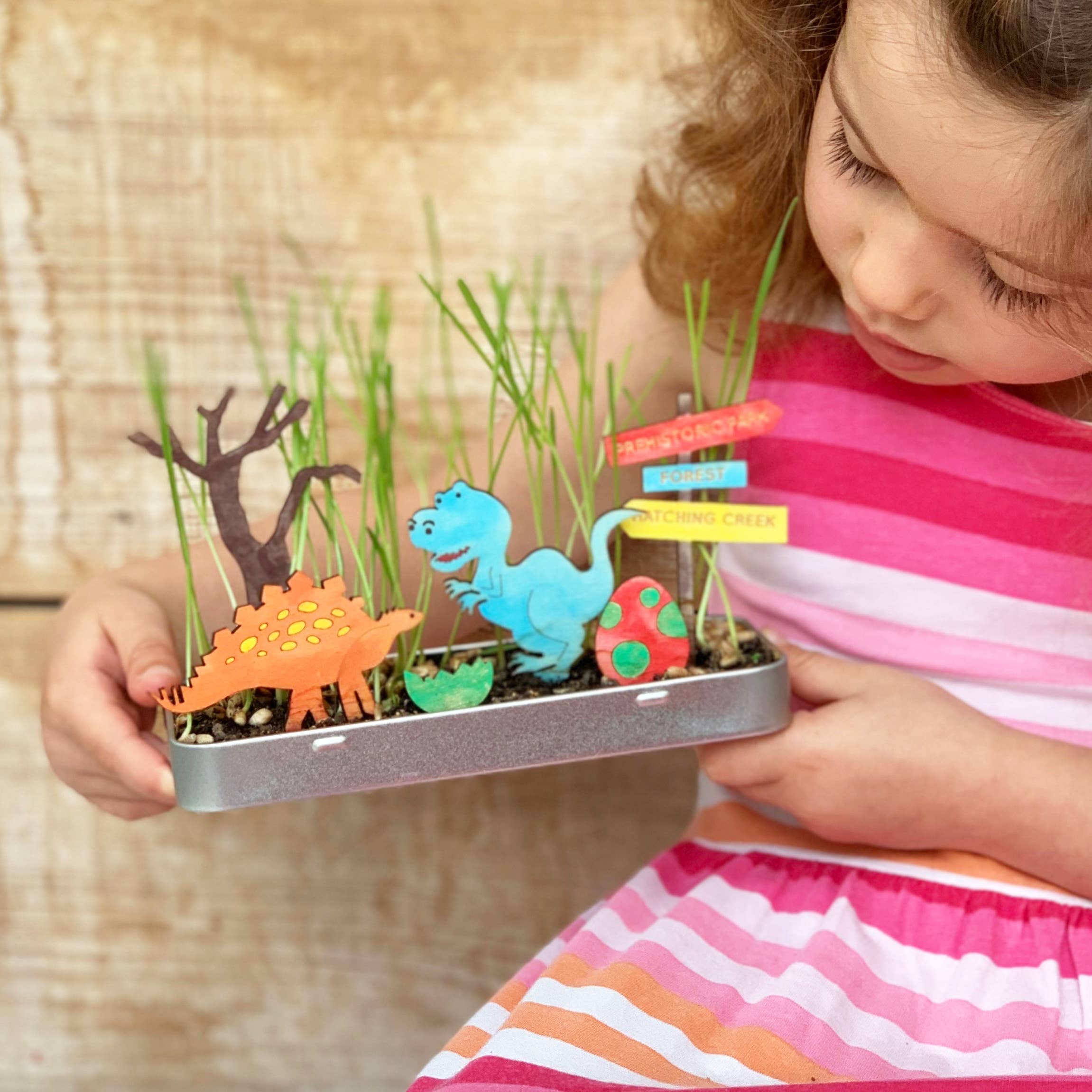 Créez votre propre jardin de dinosaures  Cotton Twist Créez votre propre jardin de dinosaures myplayground