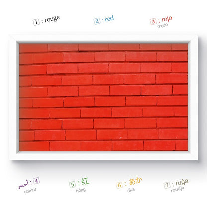 Couleurs - Imagier multilingue - Balivernes Editions