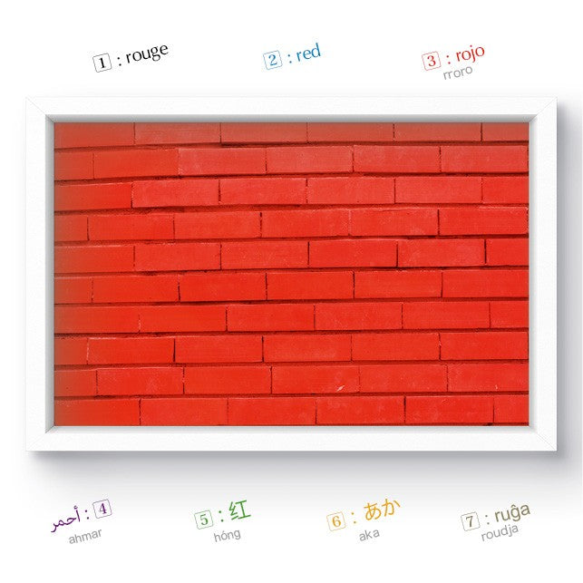 Couleurs - Imagier multilingue - Balivernes Editions  Balivernes Editions Couleurs - Imagier multilingue - Balivernes Editions myplayground