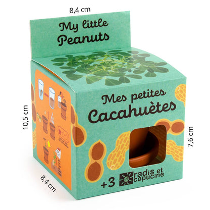 Plantes gourmandes - Cacahuète - Kit créatif de jardinage Enfant