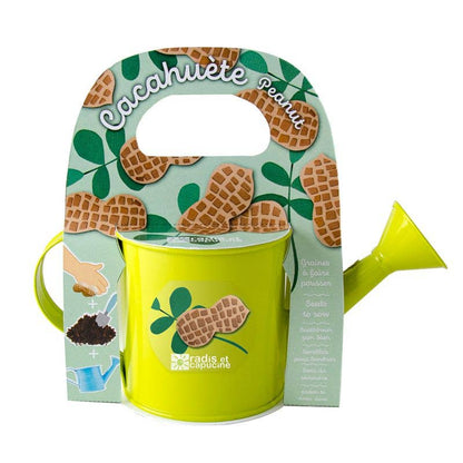 Kit pour apprendre à jardiner cacahuètes - Kit créatif de jardinage Enfant