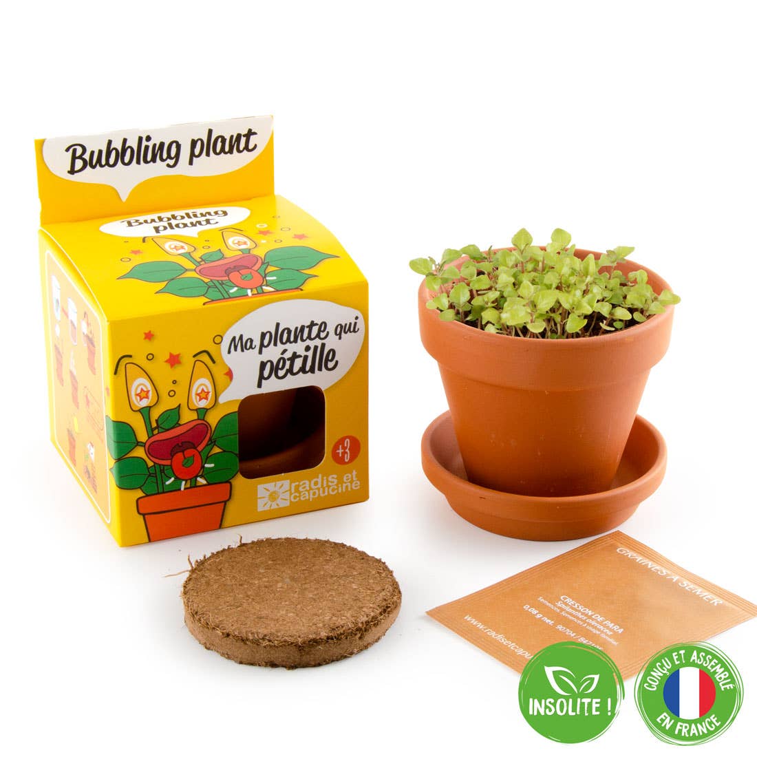 La plante qui pétille - Kit créatif de jardinage Enfant  Radis Et Capucine La plante qui pétille - Kit créatif de jardinage Enfant myplayground