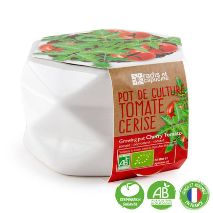 Pot origami - Grand modèle - Tomate cerise bio - Kit créatif de jardinage Enfant