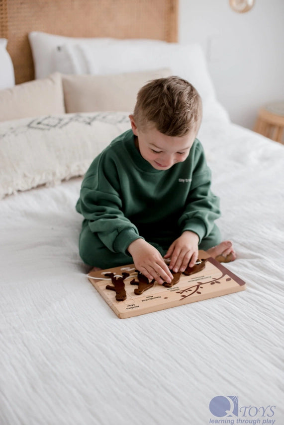 Ensemble de puzzle et de laçage Human Evolution  QToys USA Ensemble de puzzle et de laçage Human Evolution myplayground