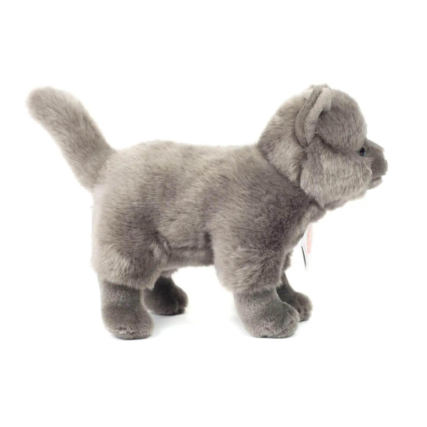 Chat chartreux debout 20 cm - peluche - peluche - Teddy Hermann Jeux d'éveil Teddy Hermann Chat chartreux debout 20 cm - peluche - peluche - Teddy Hermann myplayground