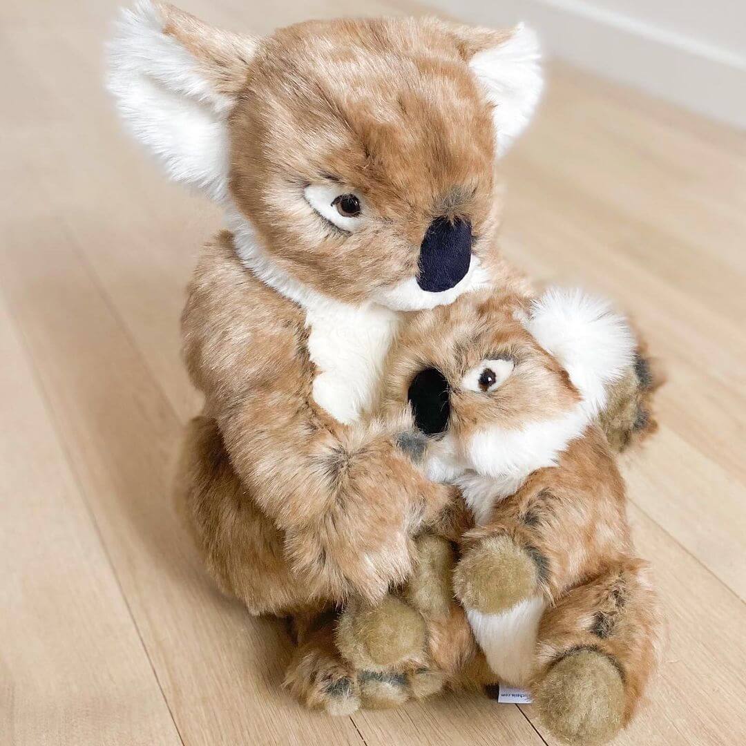 Ma peluche Koala Félicien - La Pelucherie  LA PELUCHERIE Ma peluche Koala Félicien - La Pelucherie myplayground