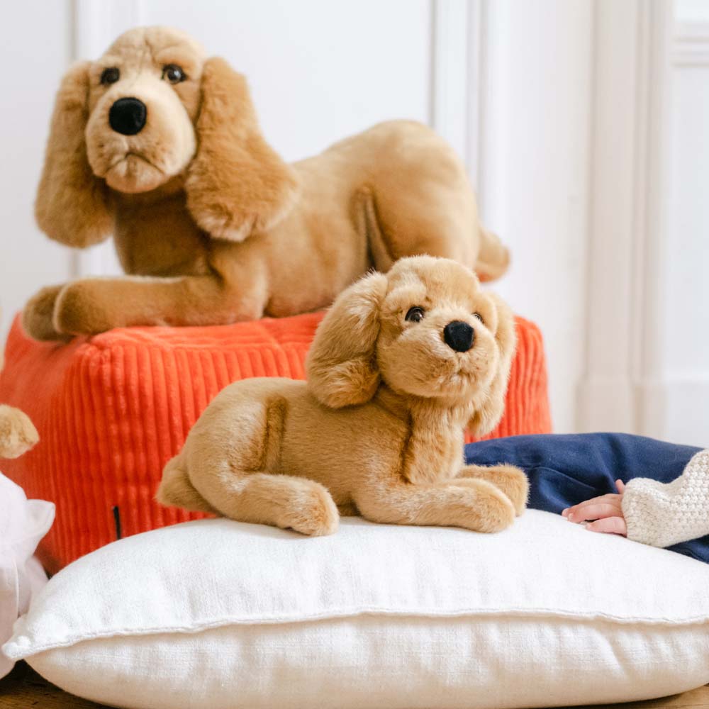 Ma peluche Cocker Théo - La Pelucherie  LA PELUCHERIE Ma peluche Cocker Théo - La Pelucherie myplayground