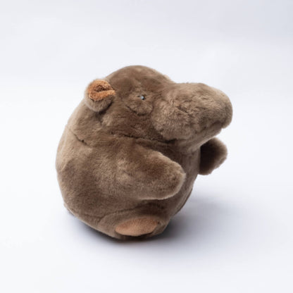 Ma Peluche Roodoodoo