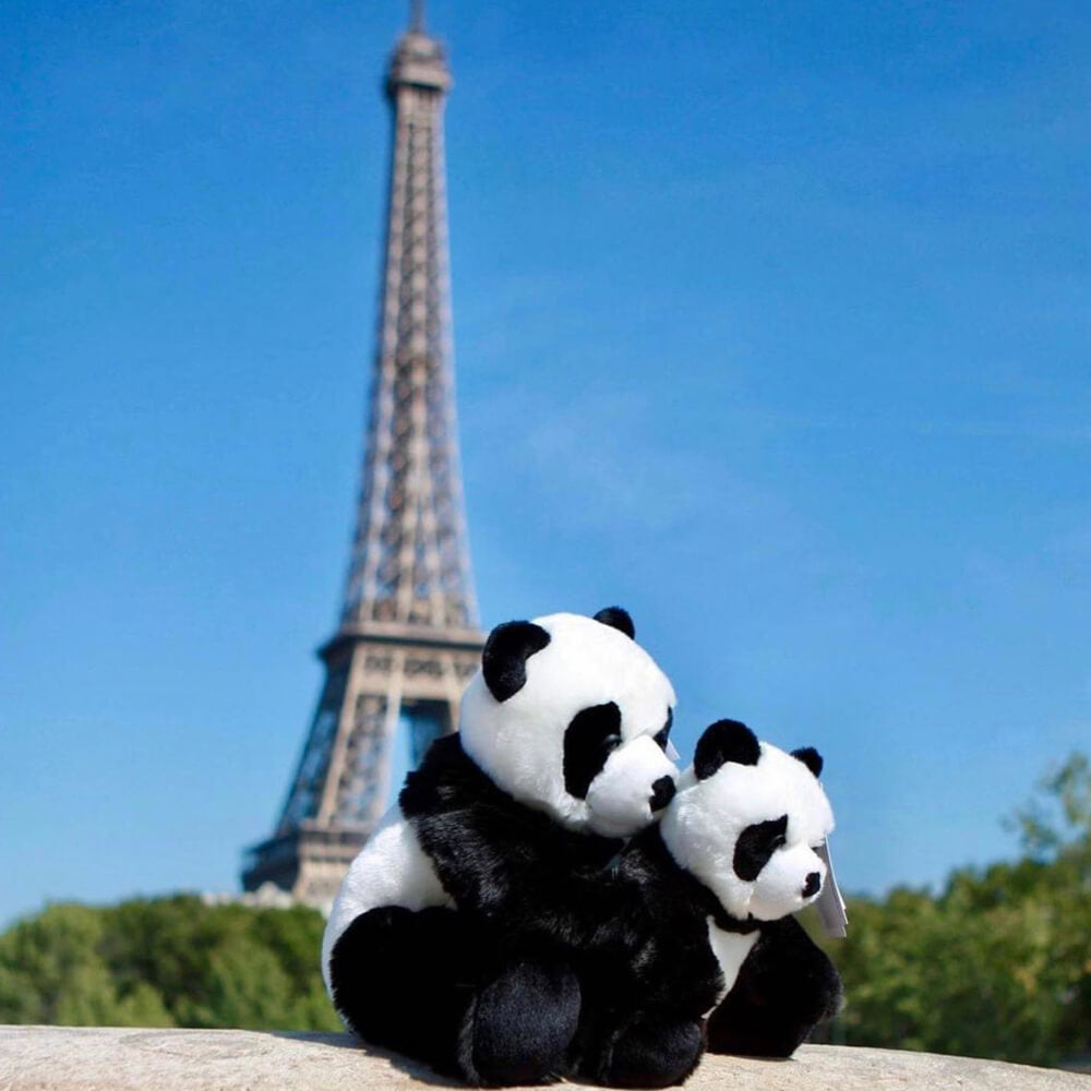 Ma peluche Panda Sam - La Pelucherie  LA PELUCHERIE Ma peluche Panda Sam - La Pelucherie myplayground