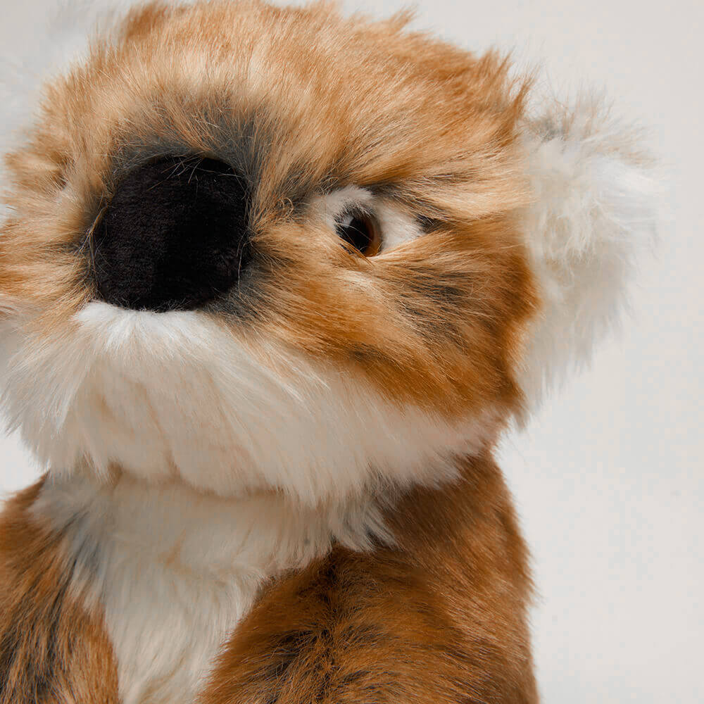 Ma peluche Koala Félicien - La Pelucherie  LA PELUCHERIE Ma peluche Koala Félicien - La Pelucherie myplayground