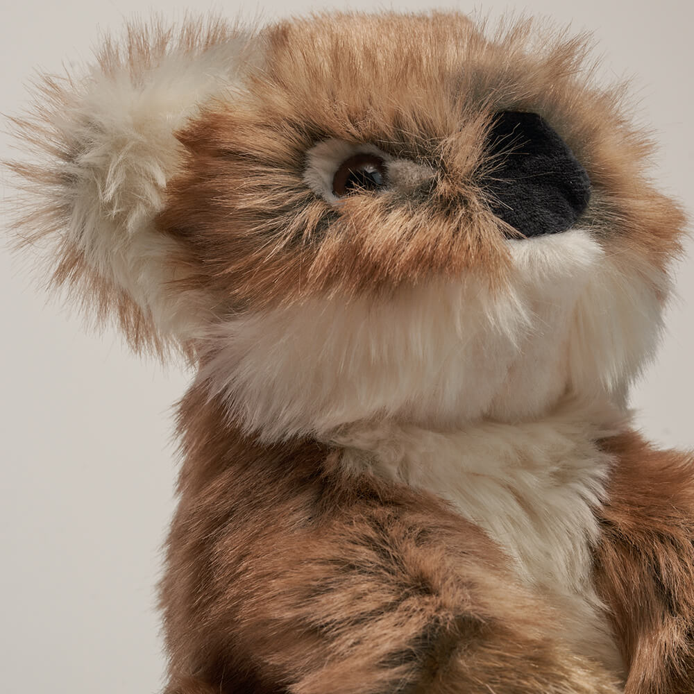 Ma peluche Koala Félicien - La Pelucherie  LA PELUCHERIE Ma peluche Koala Félicien - La Pelucherie myplayground