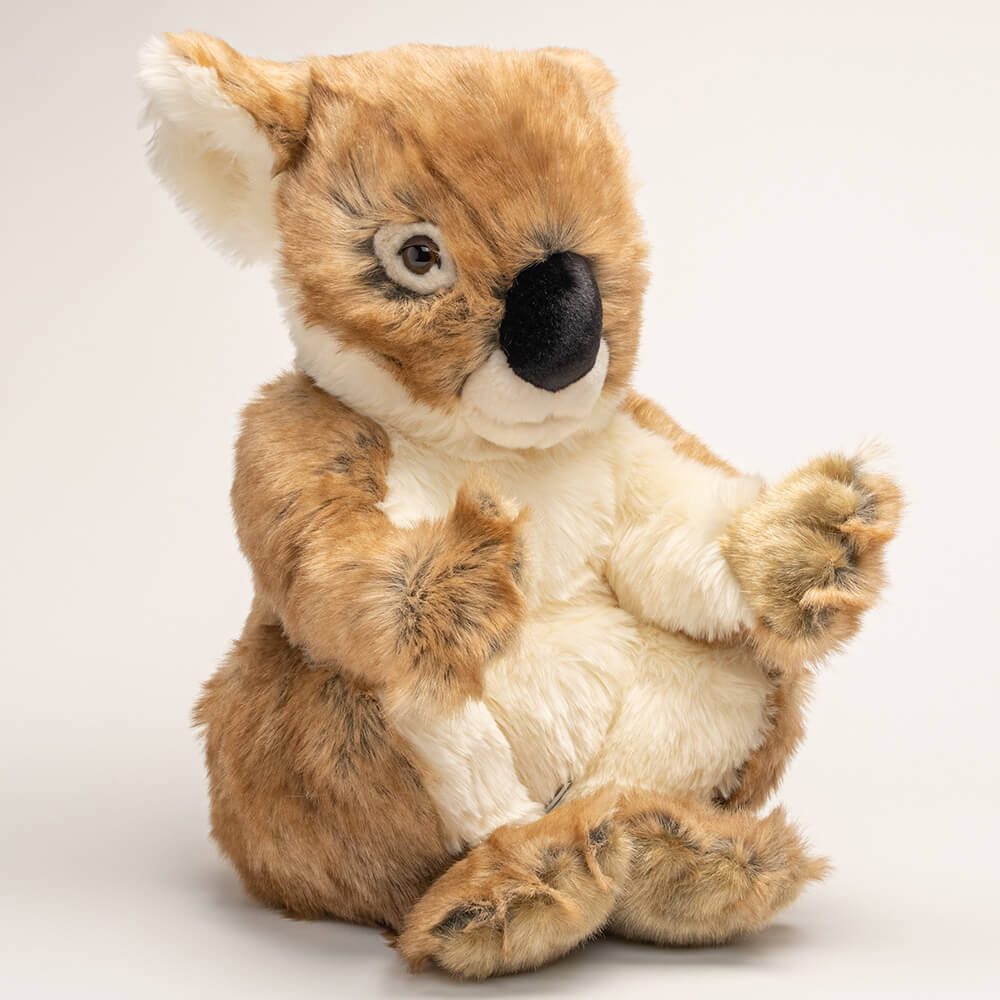 Ma peluche Koala Félicien - La Pelucherie  LA PELUCHERIE Ma peluche Koala Félicien - La Pelucherie myplayground