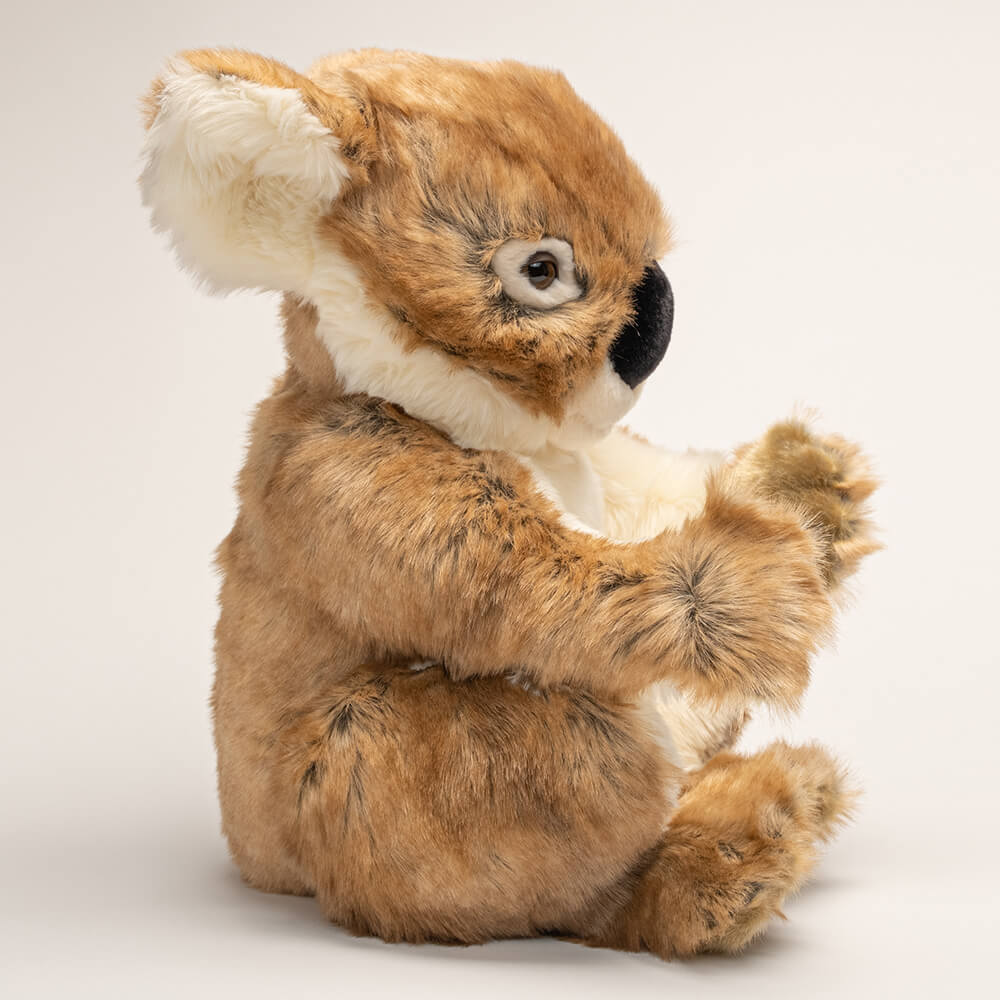 Ma peluche Koala Félicien - La Pelucherie  LA PELUCHERIE Ma peluche Koala Félicien - La Pelucherie myplayground