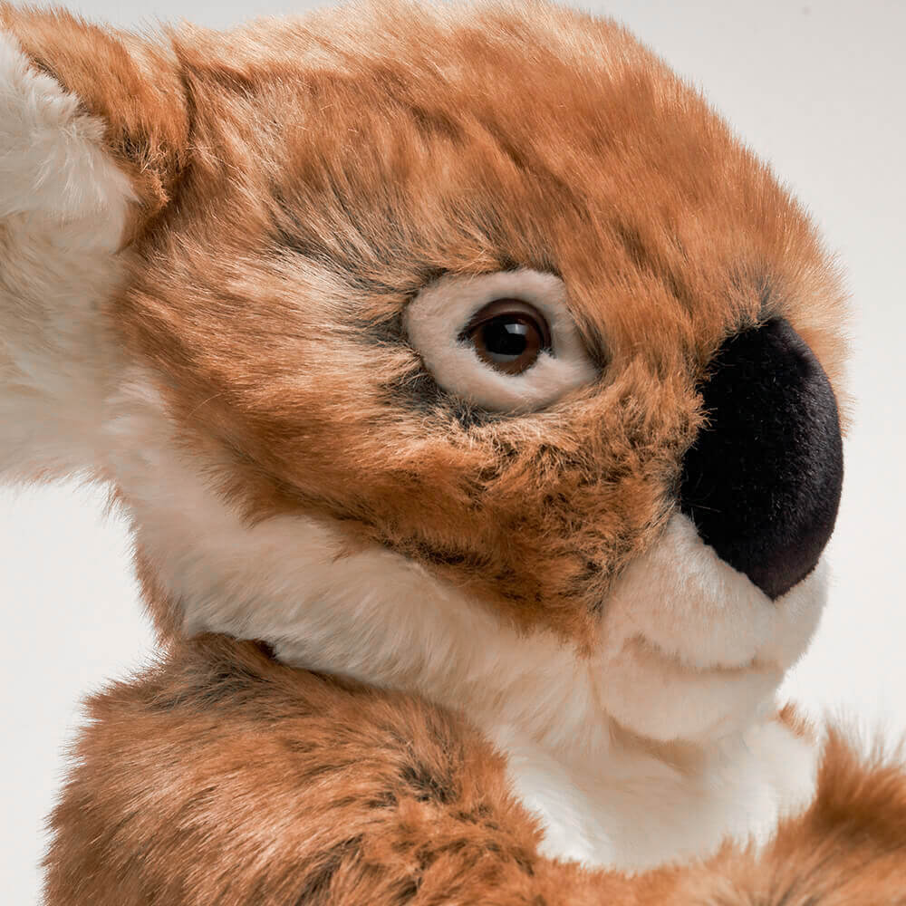 Ma peluche Koala Félicien - La Pelucherie  LA PELUCHERIE Ma peluche Koala Félicien - La Pelucherie myplayground