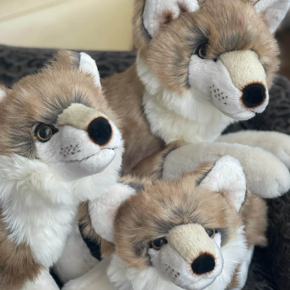 Ma peluche Loup Gaspard - La Pelucherie  LA PELUCHERIE Ma peluche Loup Gaspard - La Pelucherie myplayground