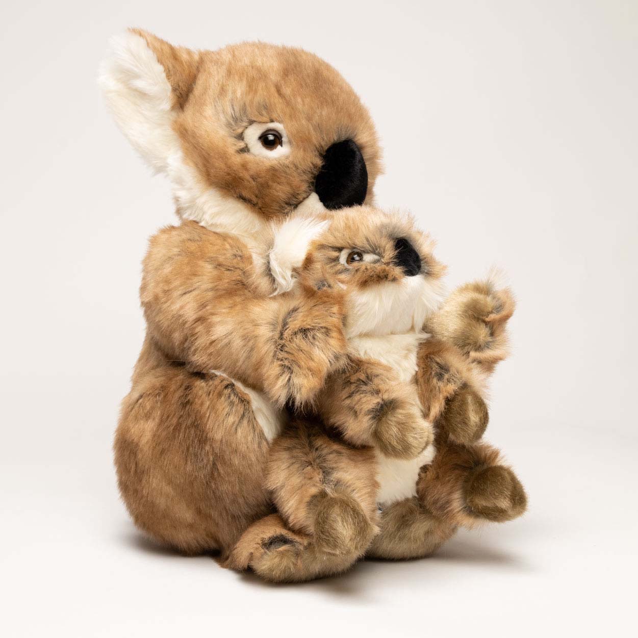 Ma peluche Koala Félicien - La Pelucherie  LA PELUCHERIE Ma peluche Koala Félicien - La Pelucherie myplayground