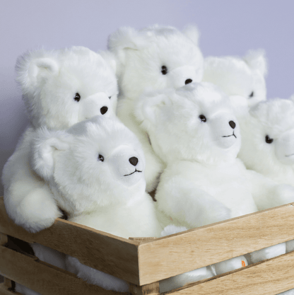 Ma peluche Ours Émile
