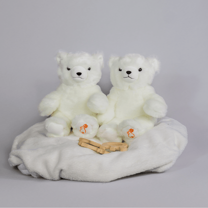Ma peluche Ours Émile