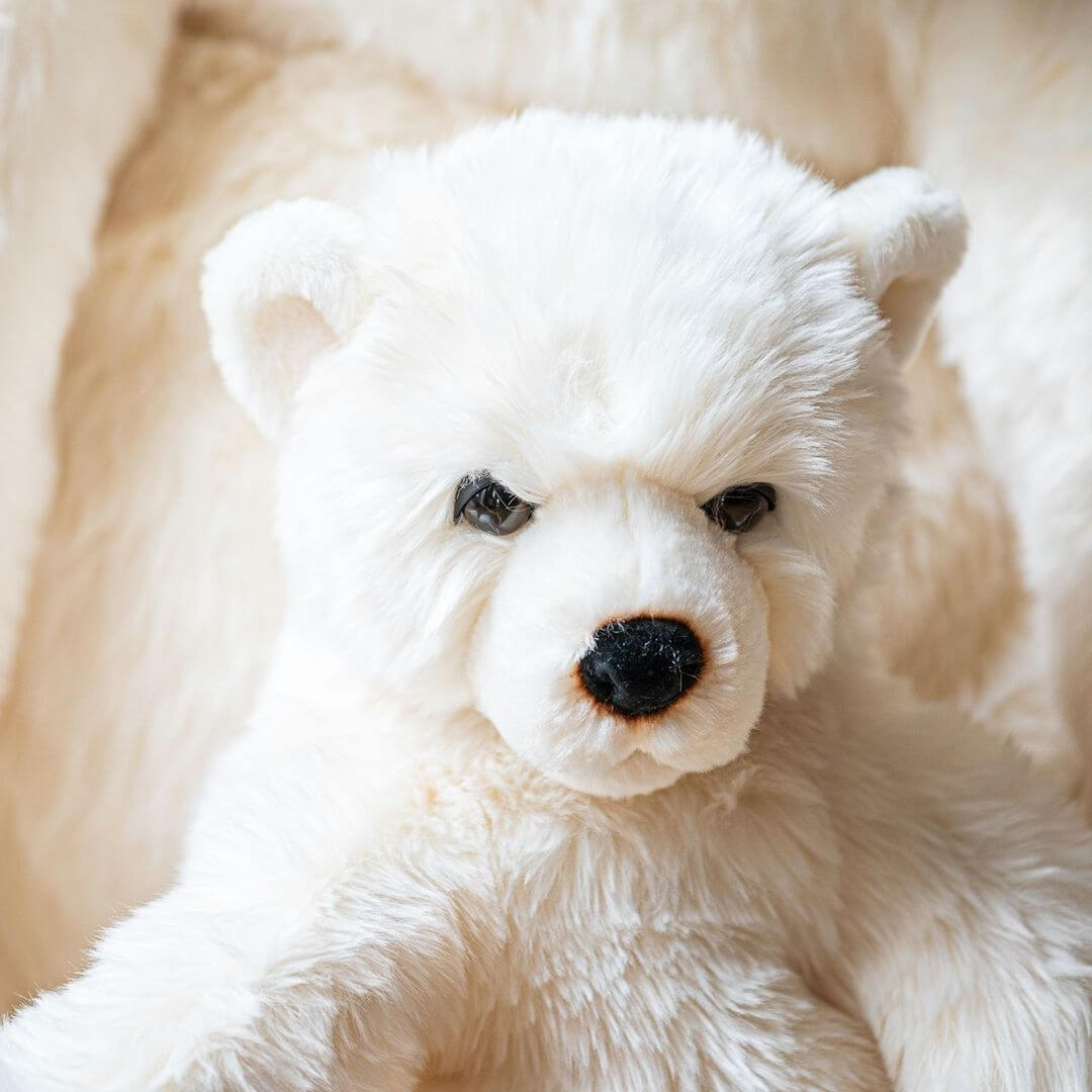 Ma peluche Ours Jules - La Pelucherie  La Pelucherie  myplayground
