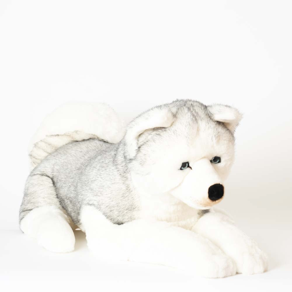 Ma peluche Husky Léonard - La Pelucherie  LA PELUCHERIE Ma peluche Husky Léonard - La Pelucherie myplayground