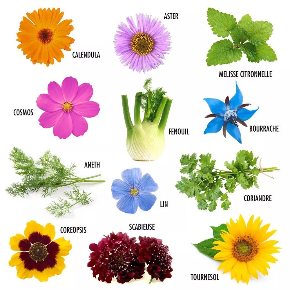 Enveloppe de 12 sachets - Fleurs à papillons - myplayground