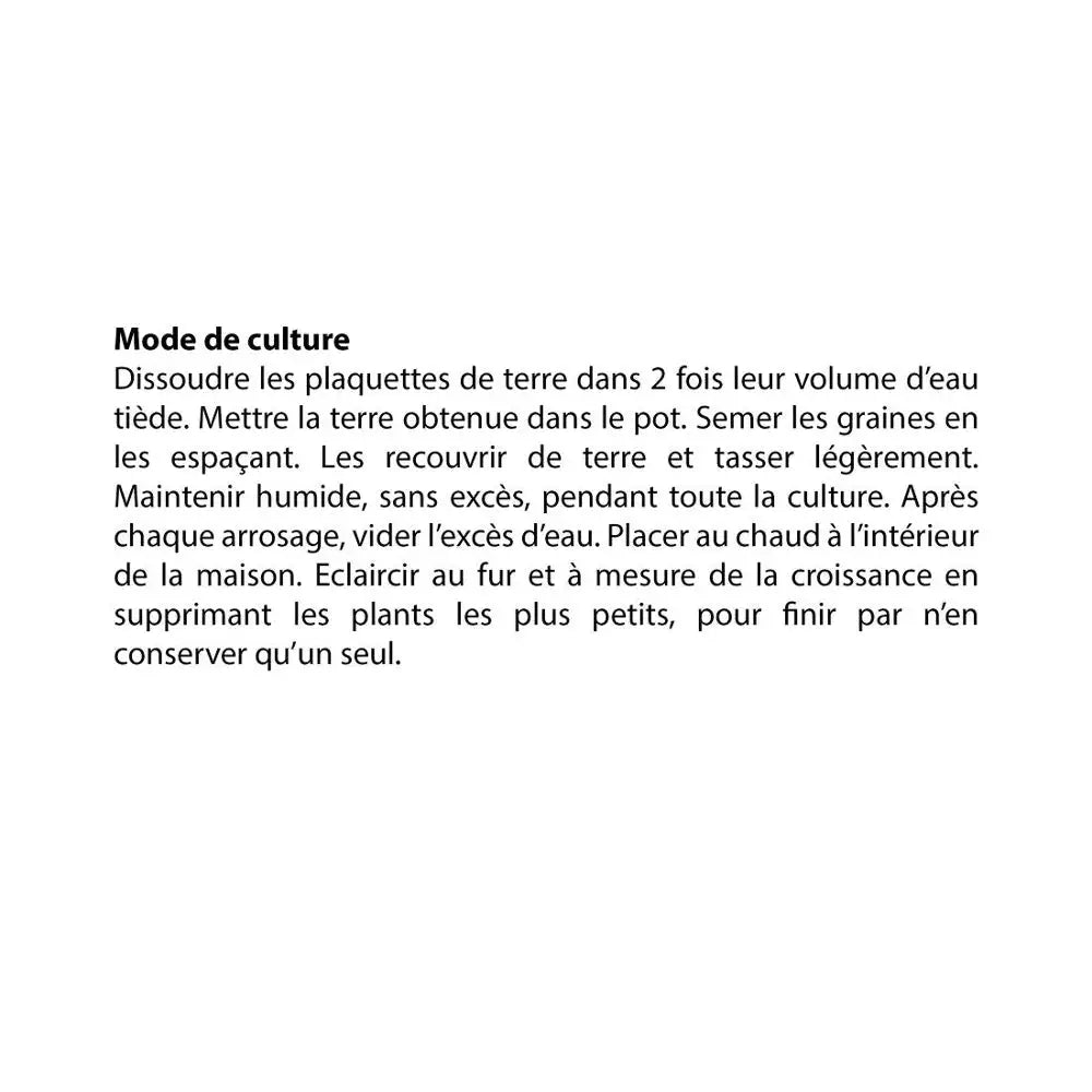 Pot Terre cuite Antique - Suzanne aux yeux noirs - Radis et Capucine by Radis Et Capucine