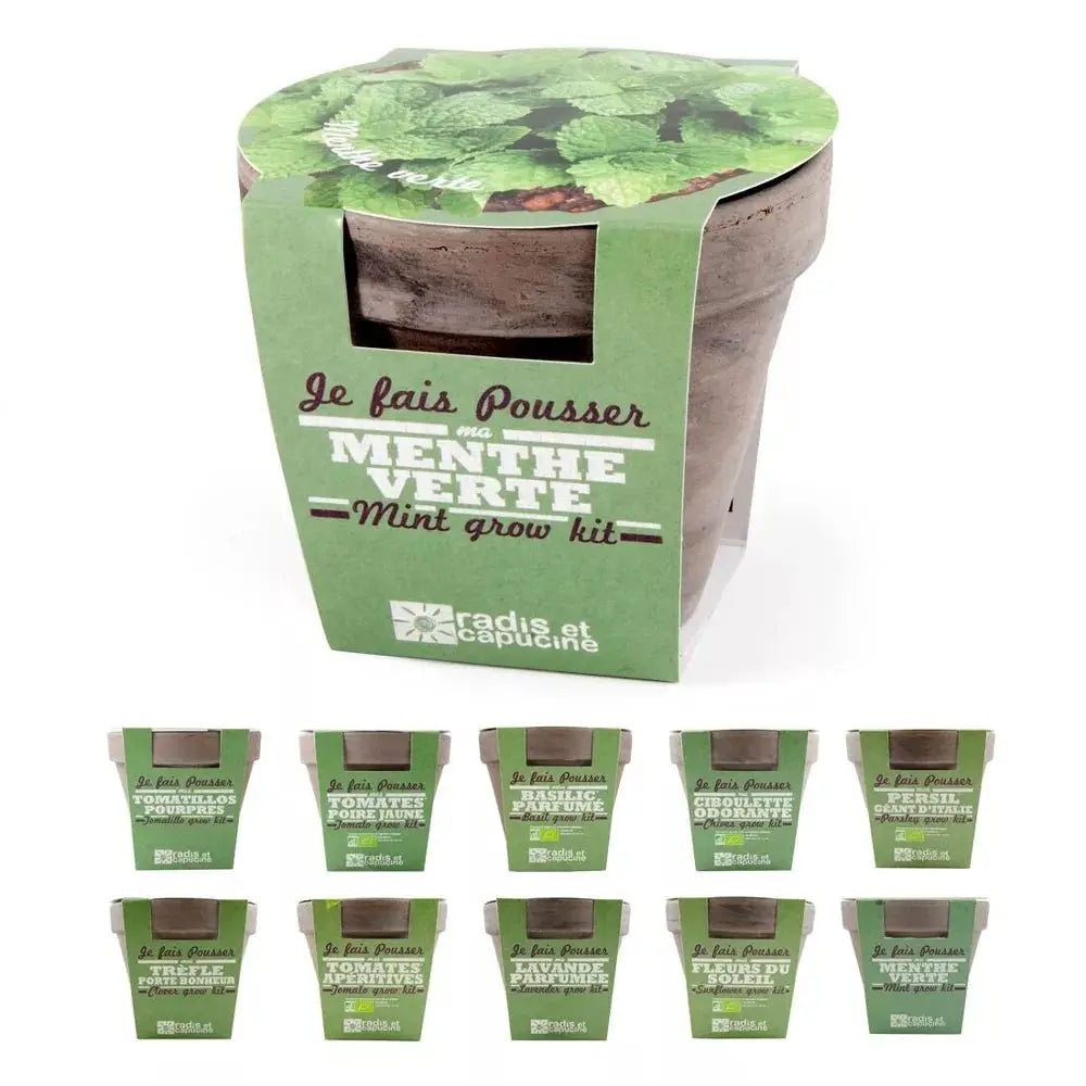 Pot en terre cuite - Menthe verte - Radis et Capucine by Radis Et Capucine